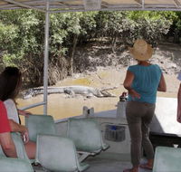 Whitsunday Crocodile Safari - Accommodation Whitsundays