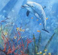 Nadas Fine Art Gallery - Accommodation Whitsundays