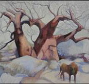 Bright Madge - Accommodation Whitsundays