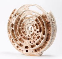 Noosa Regional Gallery - Accommodation Whitsundays