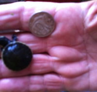 Hurleys Aquariums - Accommodation Whitsundays