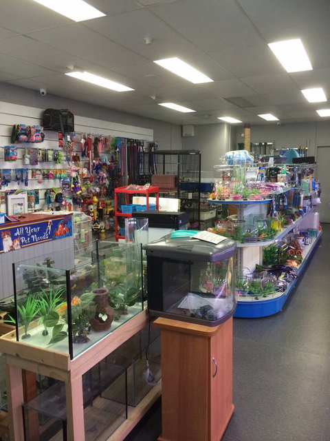 Nambour Pet Shop - Accommodation Whitsundays 0