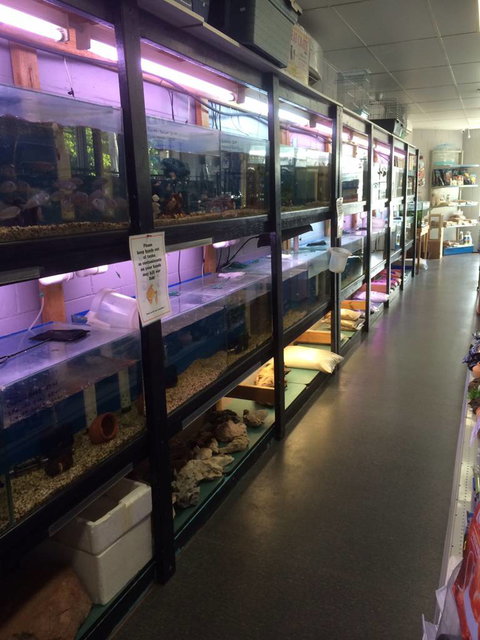 Nambour Pet Shop - Accommodation Whitsundays 1