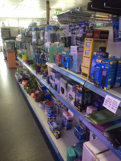 Nambour Pet Shop - Accommodation Whitsundays 2