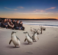 Down Under Thrills - Accommodation Whitsundays