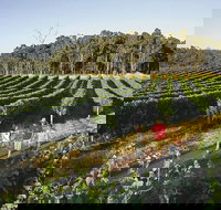 Margaret River Caves Wine and Cape Leeuwin Lighthouse Tour from Perth - Accommodation Whitsundays