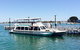Half-Day Mandurah Canals & Dolphin Watch Tour - thumb 4