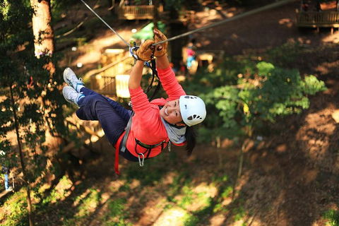 Trees Adventure Lane Poole Park - Treetop & Zipline Experience - Accommodation Whitsundays 0
