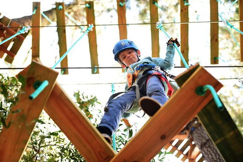 Trees Adventure Lane Poole Park - Treetop & Zipline Experience - Accommodation Whitsundays 1