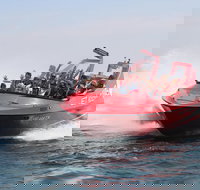 Dunsborough 30-Minute Jet Boat Ride - Accommodation Whitsundays