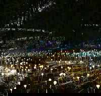 National Anzac Centre Field of Light Panorama Pass - Accommodation Whitsundays