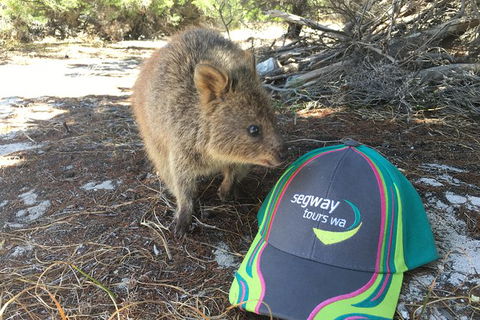 Rottnest Island Segway Tour: Fortress Adventure Tour - Accommodation Whitsundays 3