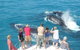 Half-Day Whale Watching Sunset Cruise From Broome - thumb 1