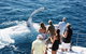 Half-Day Whale Watching Sunset Cruise From Broome - thumb 2