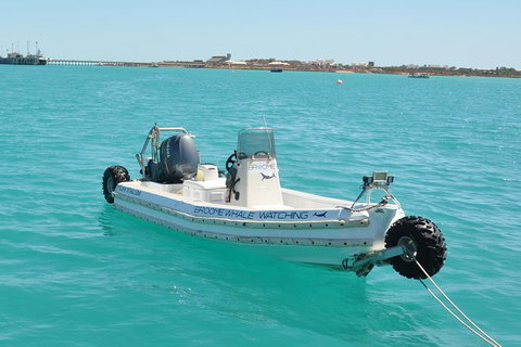 Half-Day Whale Watching Sunset Cruise From Broome - Accommodation Whitsundays 4