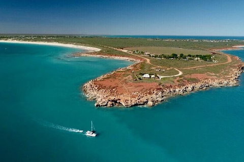 Half-Day Whale Watching Sunset Cruise From Broome - Accommodation Whitsundays 10