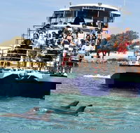 Mandurah Dolphin and Scenic Marine Cruise - Accommodation Whitsundays