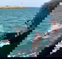 Mandurah Dolphin Island Adventure - Accommodation Whitsundays
