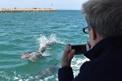 Mandurah Dolphin Island Adventure - Accommodation Whitsundays 0