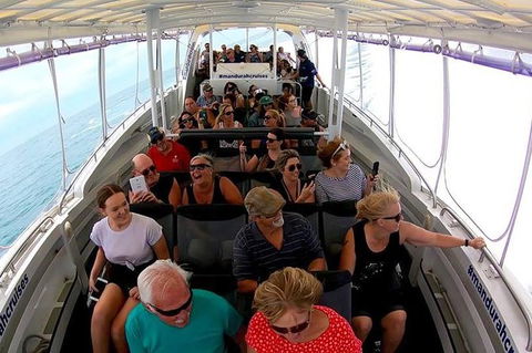 Mandurah Dolphin Island Adventure - Accommodation Whitsundays 1