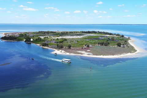 Mandurah Dolphin Island Adventure - Accommodation Whitsundays 8