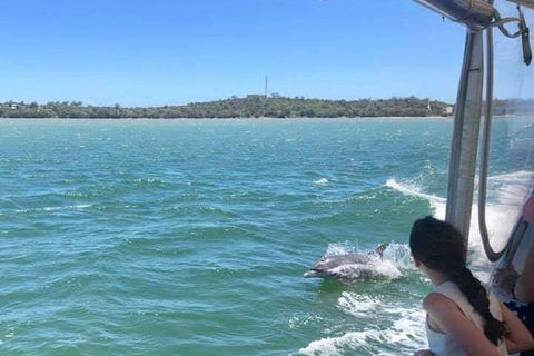 Mandurah Dolphin Island Adventure - Accommodation Whitsundays 9