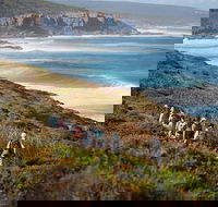8-Day Cape to Cape Track Guided Walking Tour from Perth - Accommodation Whitsundays