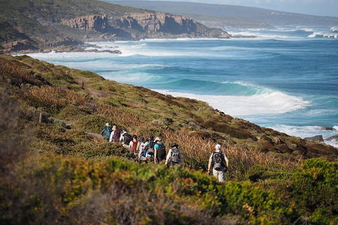8-Day Cape To Cape Track Guided Walking Tour From Perth - Accommodation Whitsundays 0