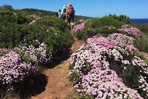 8-Day Cape To Cape Track Guided Walking Tour From Perth - Accommodation Whitsundays 4