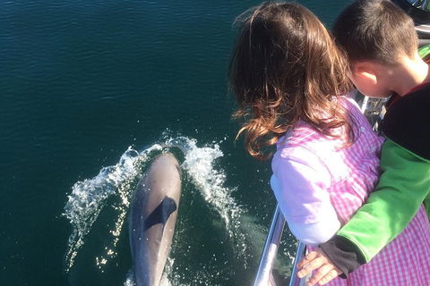 Rottnest Island Sailing Day Trip From Fremantle - Accommodation Whitsundays 1