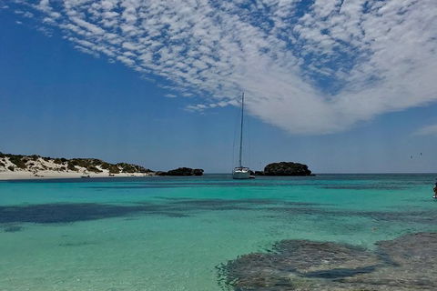 Rottnest Island Sailing Day Trip From Fremantle - Accommodation Whitsundays 6