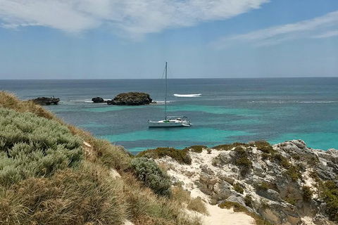 Rottnest Island Sailing Day Trip From Fremantle - Accommodation Whitsundays 4