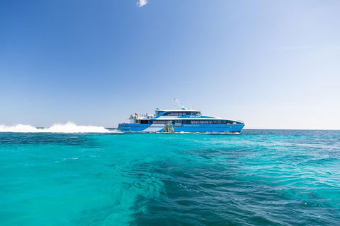 Rottnest Island All-Inclusive Grand Island Tour From Fremantle - Accommodation Whitsundays 6