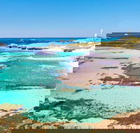 Rottnest Island Bayseeker Day Trip from Fremantle - Accommodation Whitsundays