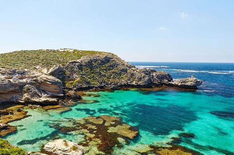 Rottnest Island Bayseeker Day Trip From Fremantle - Accommodation Whitsundays 3