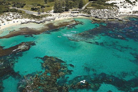 Rottnest Island Bayseeker Day Trip From Fremantle - Accommodation Whitsundays 4