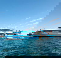 Rottnest Island Bike Snorkel  Ferry Package from Fremantle - Accommodation Whitsundays