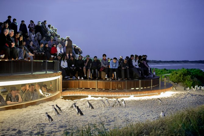 Phillip Island VIC Accommodation Whitsundays