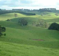 Day Tour of Phillip Island  Surrounding Region - Accommodation Whitsundays