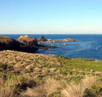 Phillip Island Walking  Bird Watching Tour - Accommodation Whitsundays
