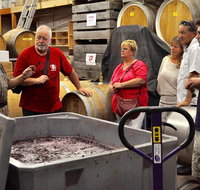 5 Hour Private Wine Tour - Accommodation Whitsundays