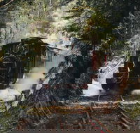 West Coast Wilderness Railway River and Rainforest from Strahan - Accommodation Whitsundays