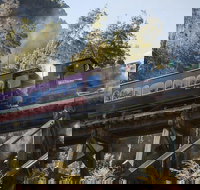 West Coast Wilderness Railway Queenstown Explorer from Strahan - Accommodation Whitsundays