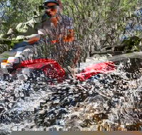 Quad Bike 2-Hour Adventure Freycinet National Park - Accommodation Whitsundays