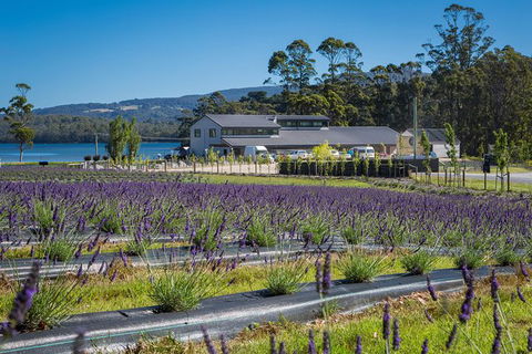 Private Tasman Peninsula Cruise Ship Tour From Port Arthur - Accommodation Whitsundays 0