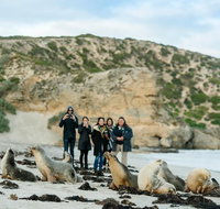 Small-Group Kangaroo Island 4WD Tour from Adelaide - Accommodation Whitsundays