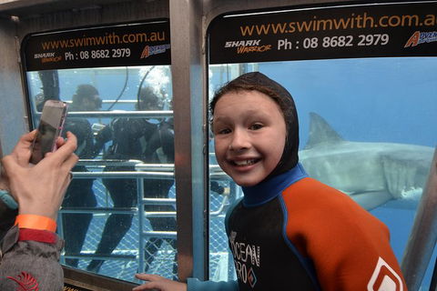 White Shark Tour With Optional Cage Dive From Port Lincoln - Accommodation Whitsundays 8
