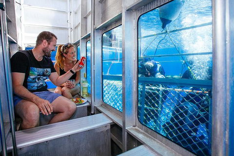 White Shark Tour With Optional Cage Dive From Port Lincoln - Accommodation Whitsundays 4