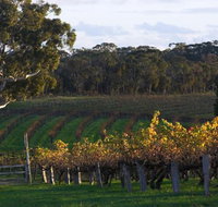 Barossa Valley with Hahndorf Tour from Adelaide - Accommodation Whitsundays