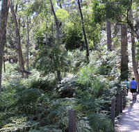 Self-Guided Waterfall Gully to Mount Lofty Hike from Adelaide - Accommodation Whitsundays